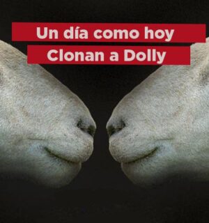 En 1996 clonaron a Dolly