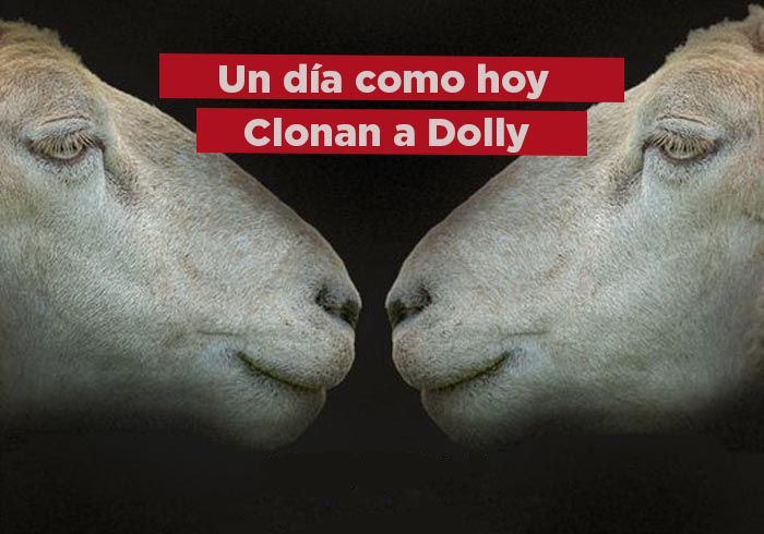 En 1996 clonaron a Dolly