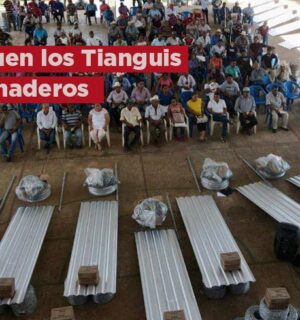 Continúan los Tianguis Ganaderos en Veracruz