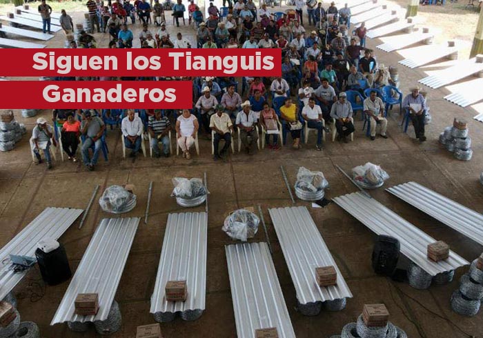 Continúan los Tianguis Ganaderos en Veracruz