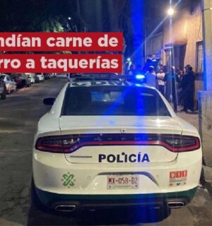 Detienen a 2 mujeres por vender carne de perro a taqueros en CdMx