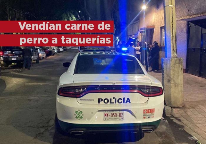 Detienen a 2 mujeres por vender carne de perro a taqueros en CdMx