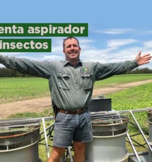 Inventan un ‘aspirador de insectos’