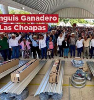 Tianguis Ganadero en las Choapas