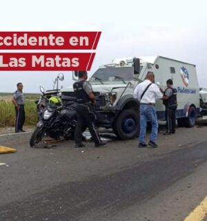 Tortuga provoca carambola en carretera de Las Matas