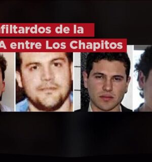 Tenía la DEA a 3 espías infiltrados entre ‘Los Chapitos’