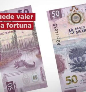 ¿Cómo saber si mi billete de 50 pesos vale una fortuna?