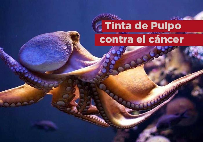 Operación pulpo contra el cáncer