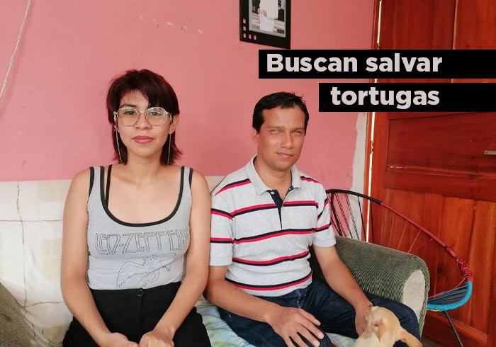 Buscan salvar a las tortugas