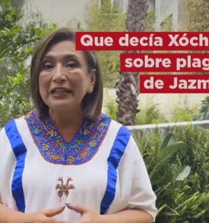 Esto decía Xóchitl Gálvez sobre el presunto plagio de Yasmín Esquivel: «En cada resolución va a estar la sombra»