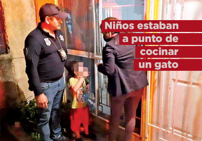 Niños estaban a punto de cocinar a un gato; llevaban cuatro días solos