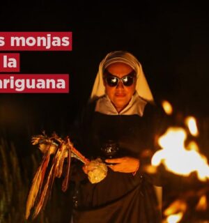 Las «monjas» de la marihuana quieren arrebatarles la planta a narcos en México