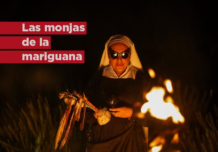 Las «monjas» de la marihuana quieren arrebatarles la planta a narcos en México