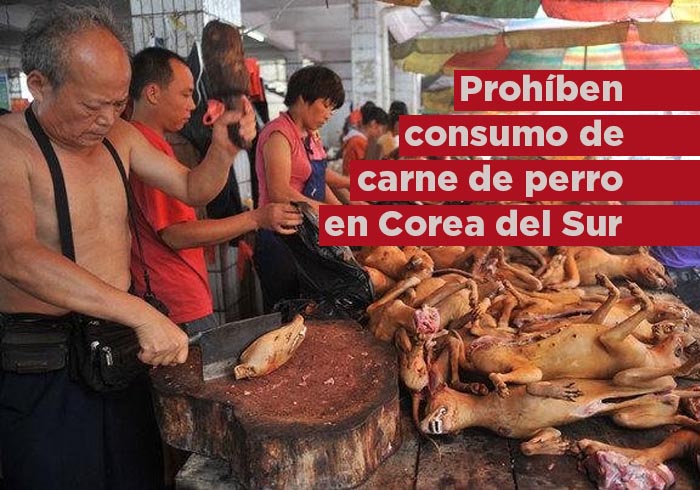 Corea del Sur prohíbe oficialmente el comercio de carne de perro