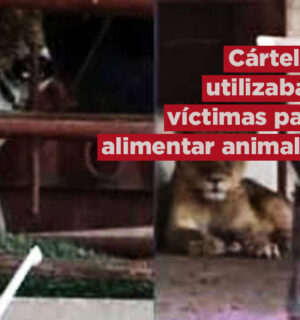 Cárteles usaban narcorancho para alimentar animales con personas privadas de la libertad