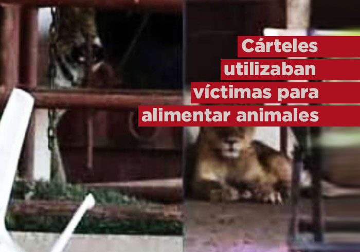 Cárteles usaban narcorancho para alimentar animales con personas privadas de la libertad