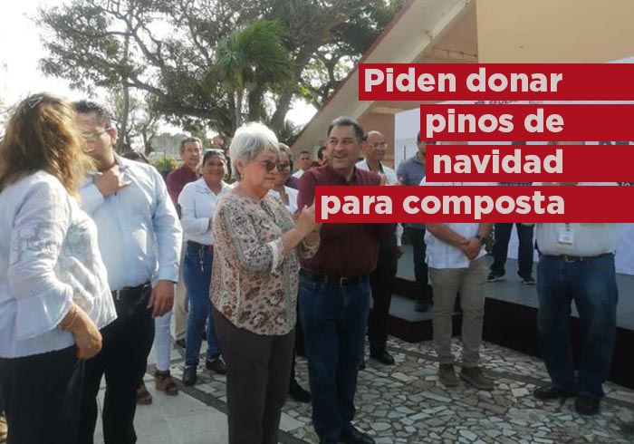 Invitan a la población a donar pinos de navidad para composta