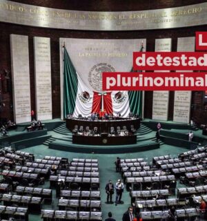 Los detestados plurinominales