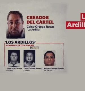 Los Ardillos