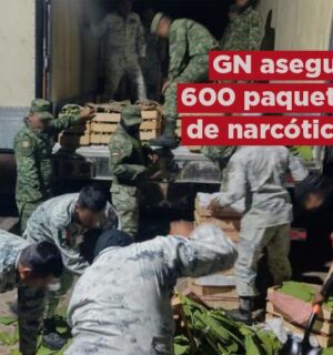 Guardia Nacional asegura 600 paquetes de narcóticos dentro de un camión de nopales