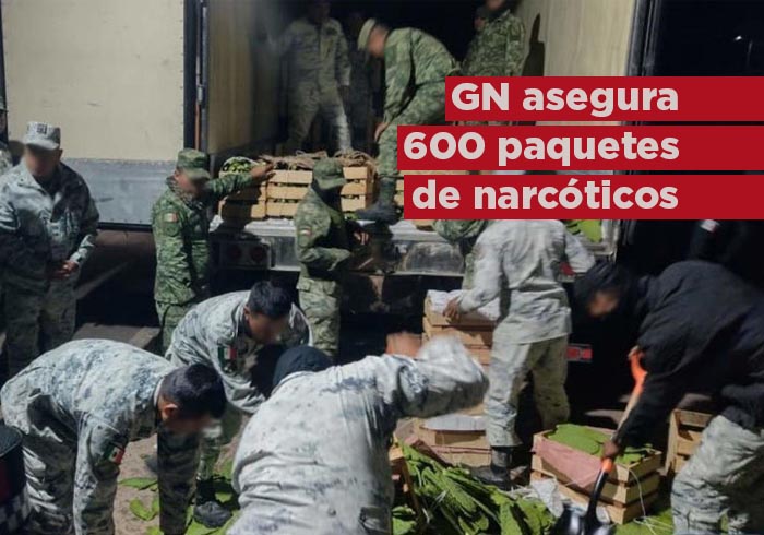 Guardia Nacional asegura 600 paquetes de narcóticos dentro de un camión de nopales