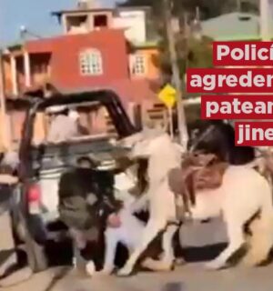 VIDEO: Policías golpean y patean a un jinete en Veracruz