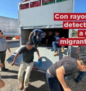 Con Rayos X detectan a 64 migrantes dentro de camionetas en Veracruz