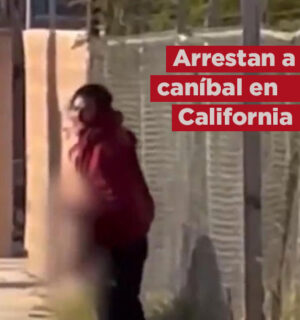 VIDEO: Arrestan a ‘caníbal’