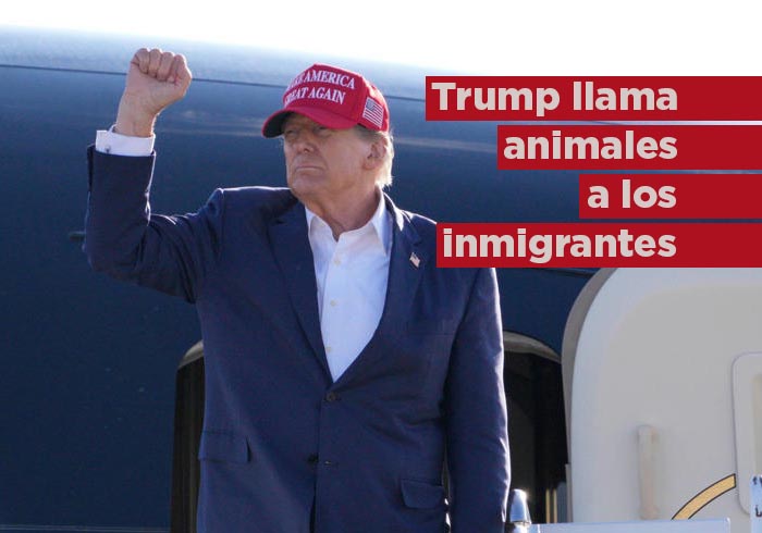 VIDEO: «No son personas… son animales»: Trump