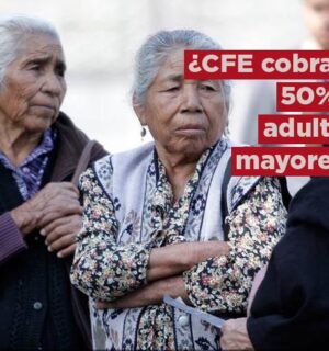 ¿CFE cobrará a mitad de precio el recibo de luz a adultos mayores?