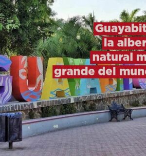 México: Hogar de la alberca natural más grande del mundo