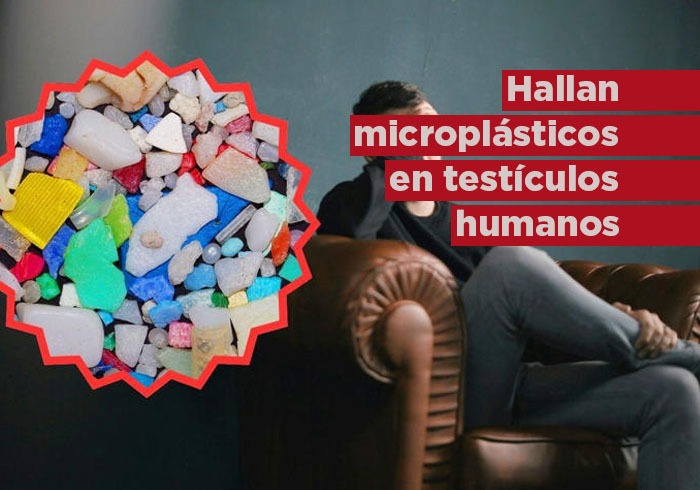 Hallan microplásticos en todos los testículos humanos de estudio