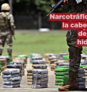 Narcotráfico: la cabeza de la hidra