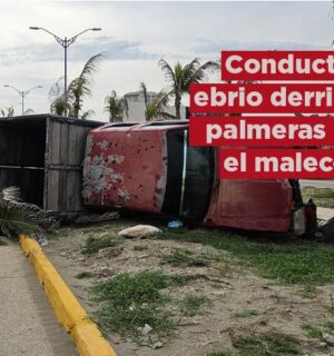 Conductor se impacta contra camioneta y derriba dos palmeras en el malecón de Coatzacoalcos