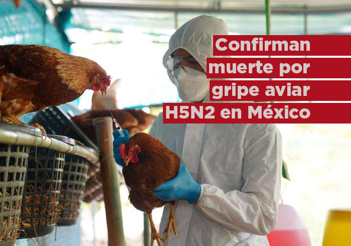 primera muerte por gripe aviar H5N2 en México