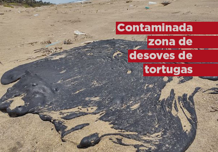 Contaminada la zona de desoves de tortugas marinas