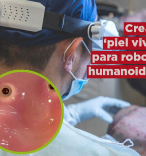 Científicos crean «piel viva» para robots humanoides