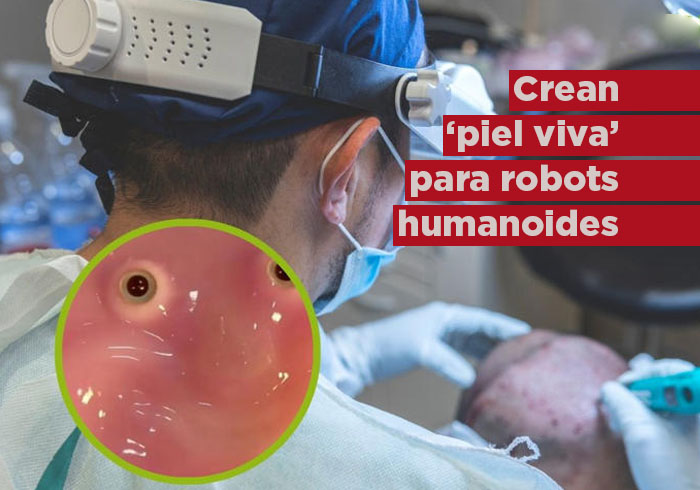 Científicos crean «piel viva» para robots humanoides