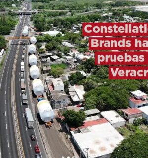 Constellation Brands comienza pruebas logísticas en Veracruz