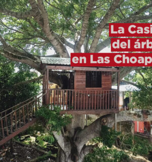 La casita del árbol en Las Choapas