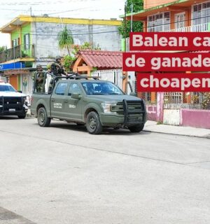 Balean negocio de ganadero Choapense