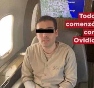 Todo comenzó con Ovidio