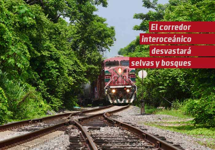 El Corredor Interoceánico convertirá selvas y bosques en paisaje industrial