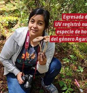 Egresada UV registró nueva especie de hongo del género Agaricus