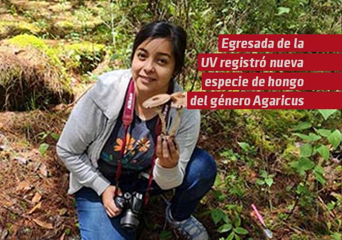 Egresada UV registró nueva especie de hongo del género Agaricus