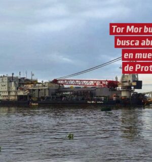 Busca abrigo en los muelles de Protexa