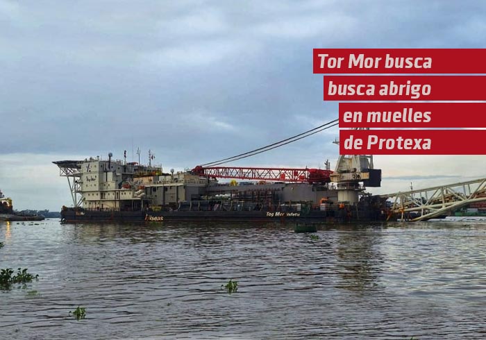 Busca abrigo en los muelles de Protexa