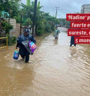 «Nadine» pegó fuerte en el sureste, dejó 5 muertos