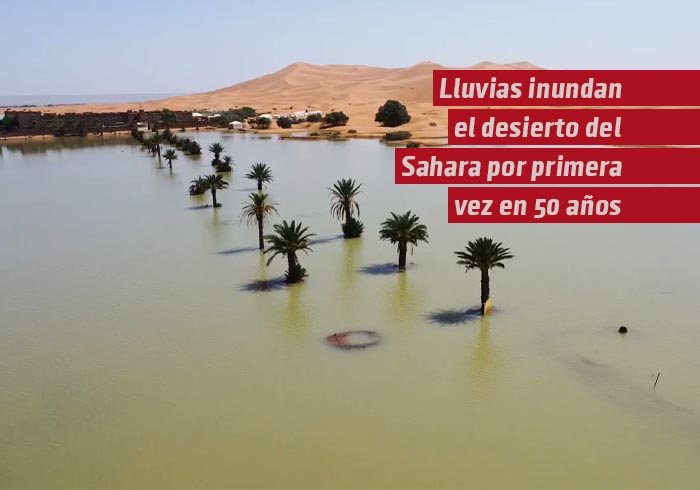 Lluvias inundan el desierto del Sahara por primera vez en más de 50 años; así luce