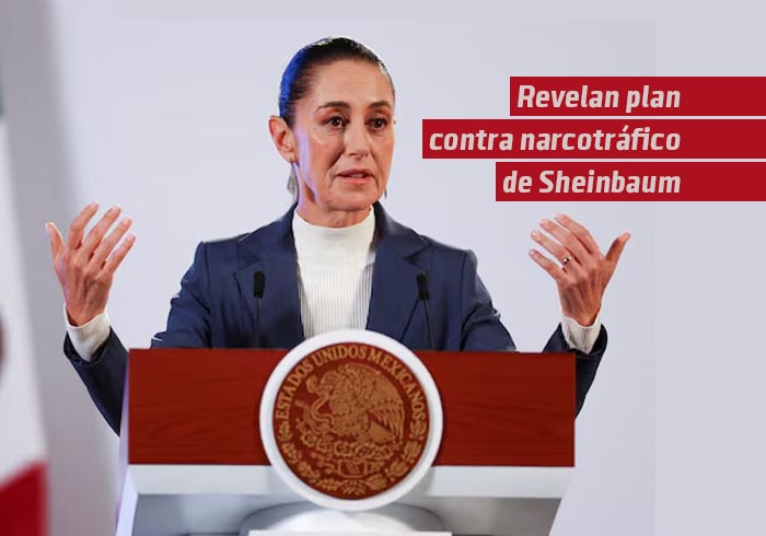 Revelan el plan contra el narcotráfico de Sheinbaum